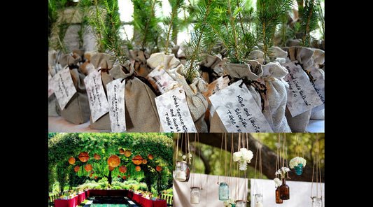 How to Incorporate Sustainability into Your Wedding Plans